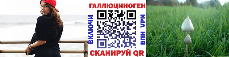 дарнет шоп Нефтеюганск Галлюциногенные грибы Cubensis