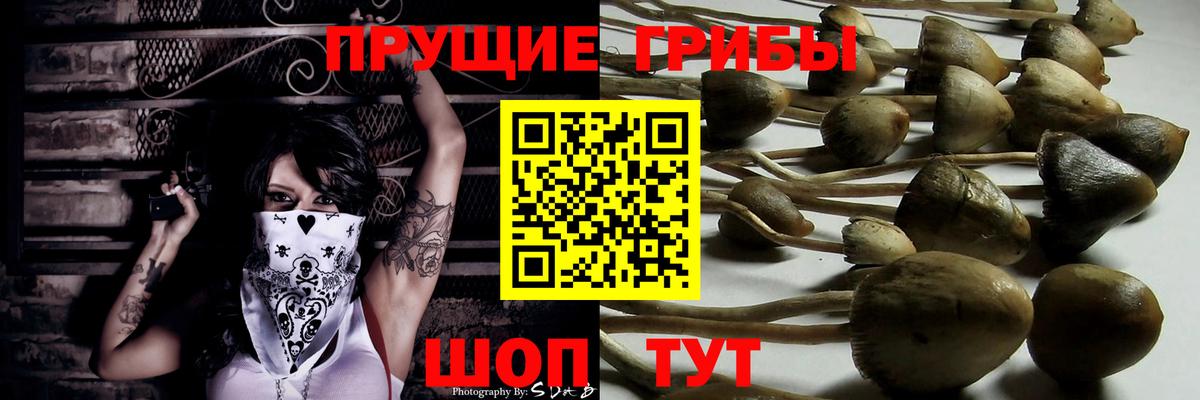 Нефтеюганск  Галлюциногенные грибы GOLDEN TEACHER  Псилоцибиновые грибы Psilocybe  Вход с VPN 